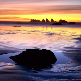 Знакомства Гольяново