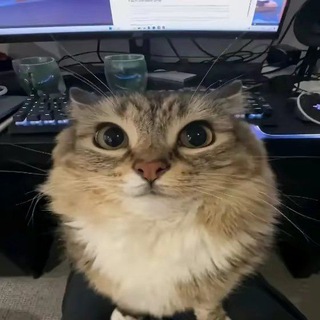 Общение | чатик | комфортики | знакомства