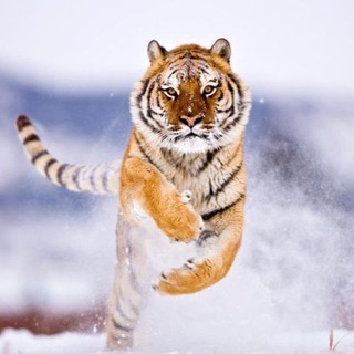 Знакомства Сатка