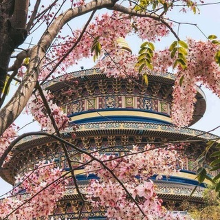 VPISKII Видное VPISKAAA ZNAKOMSTVAA