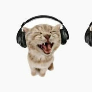 Знакомства Дагомыс ( чё за?) Крч:12+