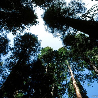 Знакомства Красноярск