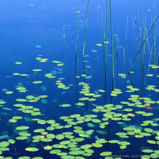 Знакомства Люблино