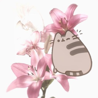 [НАБОР В АДМИНЫ] Азеркин знакомства