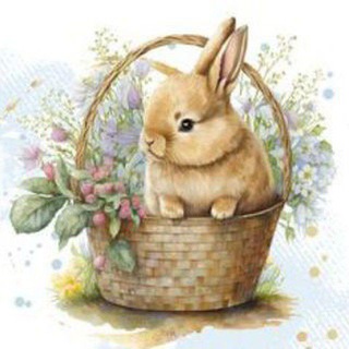 Знакомства