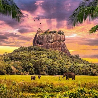 Шри-Ланка 🇱🇰Знакомства💗