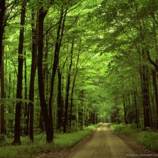 Знакомства Строгино
