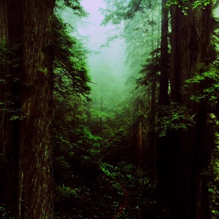 Полиамория Знакомства