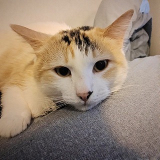 Улан-Удэ общение | Ищу парня, девушку в бурятии уланудэ уде знакомства республика бурятия ищу друзей друга подругу | Чат группа