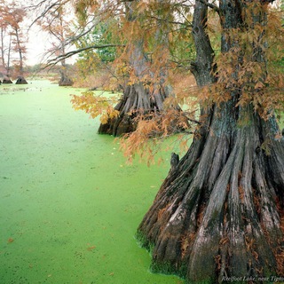 Знакомства Чертаново Южное