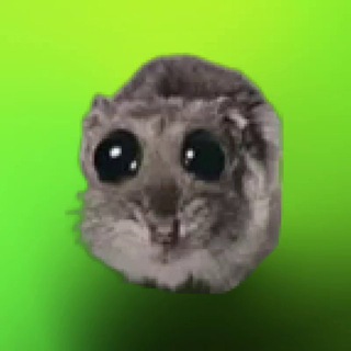 Знакомства волжский