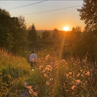Чат для Общения/Знакомства