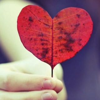 пгт. Ярославский =) Общение Знакомства Чат Доска объявлений Хорольский район Барахолка Объявления Работа Подработка Биржа труда