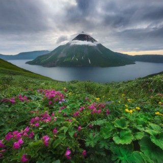 Знакомства, общение, флирт КУНАШИР