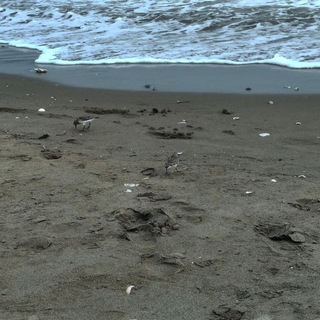 чат Знакомства бессмысленны🌊