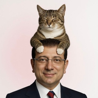 Agent C(h)at😸🇹🇷 #ilelebetunıtertambagimsiztc