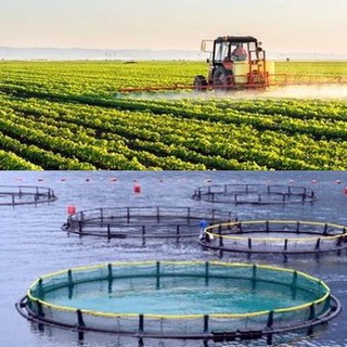 柬🇰🇭农业&渔业讨论群 Kh🇰🇭Agro&Aqua Group