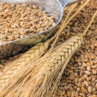 🇺🇦🌻АгроБiржа🌾UA🌽🇺🇦