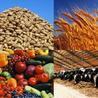 Агросервер Крым