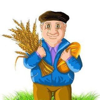 AGRONOM MASLAHATLARI 👩‍🌾