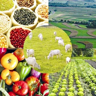 🌾Агропромышленный комплекс Россиии и СНГ 🌾