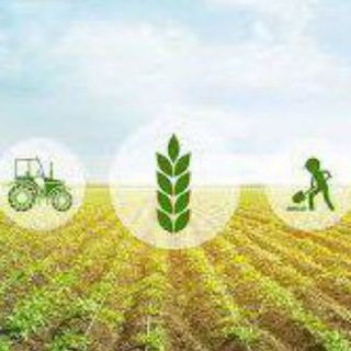 Агро Сельхоз Бизнес