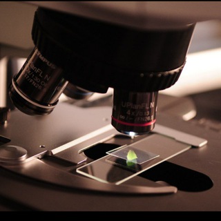 LAKSHYA MBBS 👩‍⚕️💞