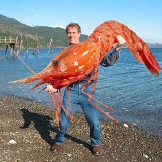 Фонд коня «ПРОБУЖДЕНИЕ»