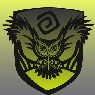 Чат современной Колористики