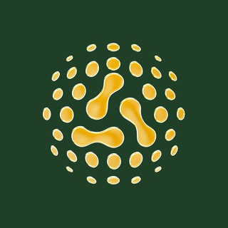 Aki Network Russian Official