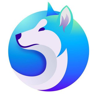 Akita Türkiye 🇹🇷