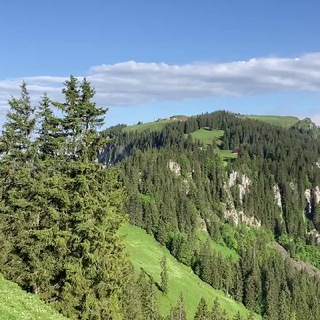 Aktiv aus der Einsamkeit