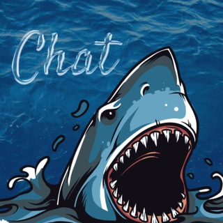 Акулий Чат Услуг