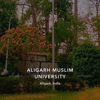 Amu jmi info group ✎ᝰ.