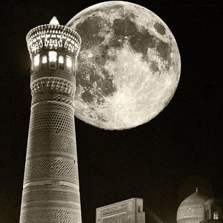 🌇🌃Общение и знакомства!✍🏻🫂🤝БухараN_1