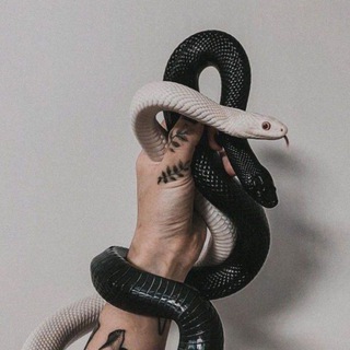 Новые Знакомства пендосы