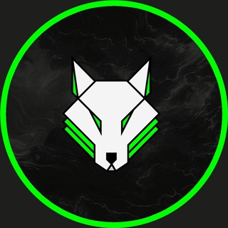 Alpha Crypto Hub Group