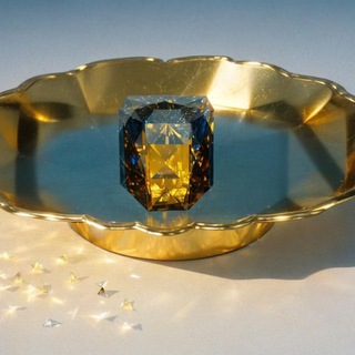 Ton community 🌃 Airdrop, NFT, Whitelist, Crypt, metaverse, TON, NOT, free Check 🚀