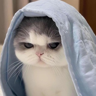 Hội anh em giao lưu về bờ