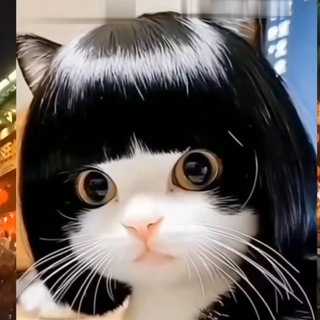 Animeow Music Fanart Gaming- Nyaa nyaa nyaa~