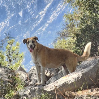 Идём в горы Чат 🌋 Хайкинг в Анталии