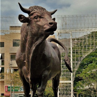 Aragua Maracay En Línea🇻🇪