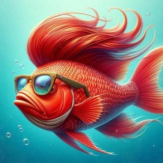 ARAYIŞIN MERKEZİ 🍑