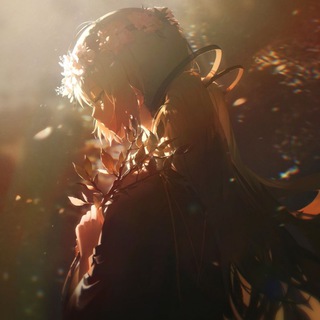 Dibujantes y artistas 🎨