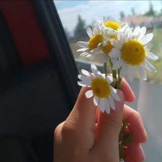 Online shop 😍❤️☺️