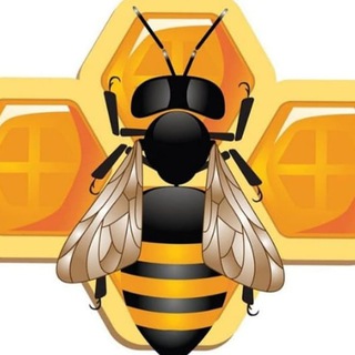 sirdaryo viloyati asal arichilar 🐝