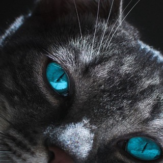 Знакомства в Асбесте