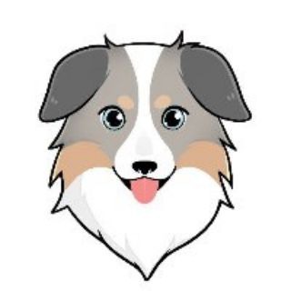 🇹🇷Ass Coin TÜRKİYE RESMİ KANAL🇹🇷