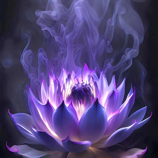 Tư vấn - Hỗ trợ Việc Làm 🇰🇭