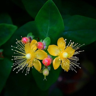 🇦🇿🇦🇿🇦🇿Azərbaycan Respublikası söhbət qrupu🇦🇿🇦🇿🇦🇿